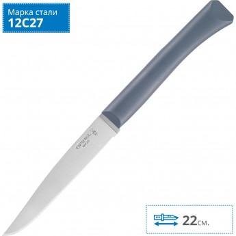 Нож столовый OPINEL N°125 , полимерная ручка, нерж, сталь, антрацит. 001903 Нож столовый OPINEL N°125 , полимерная ручка, нерж, сталь, антрацит. 001903